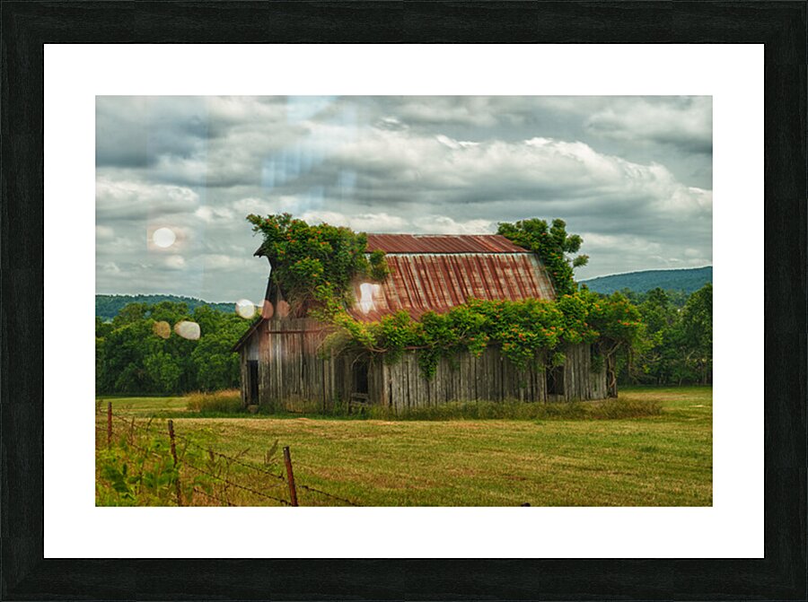 barn painted Picture Frame print