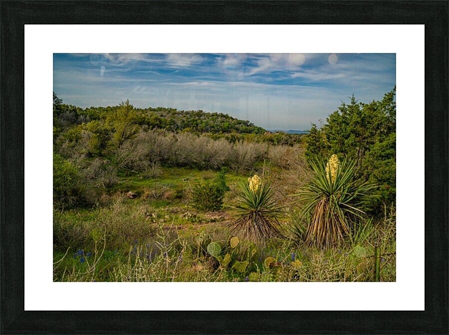 Central Texas Picture Frame print