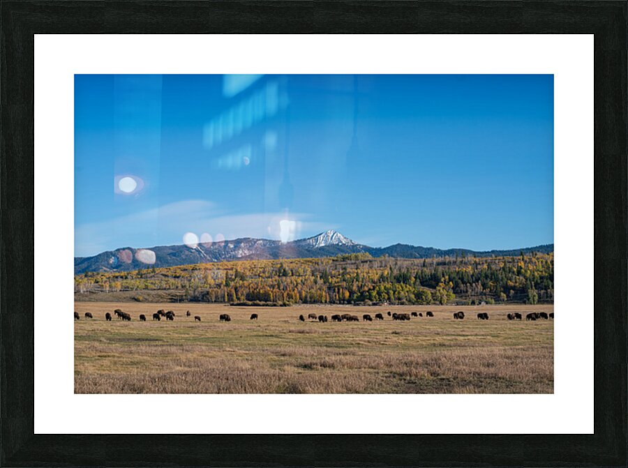 Grand Tetons 7 Picture Frame print