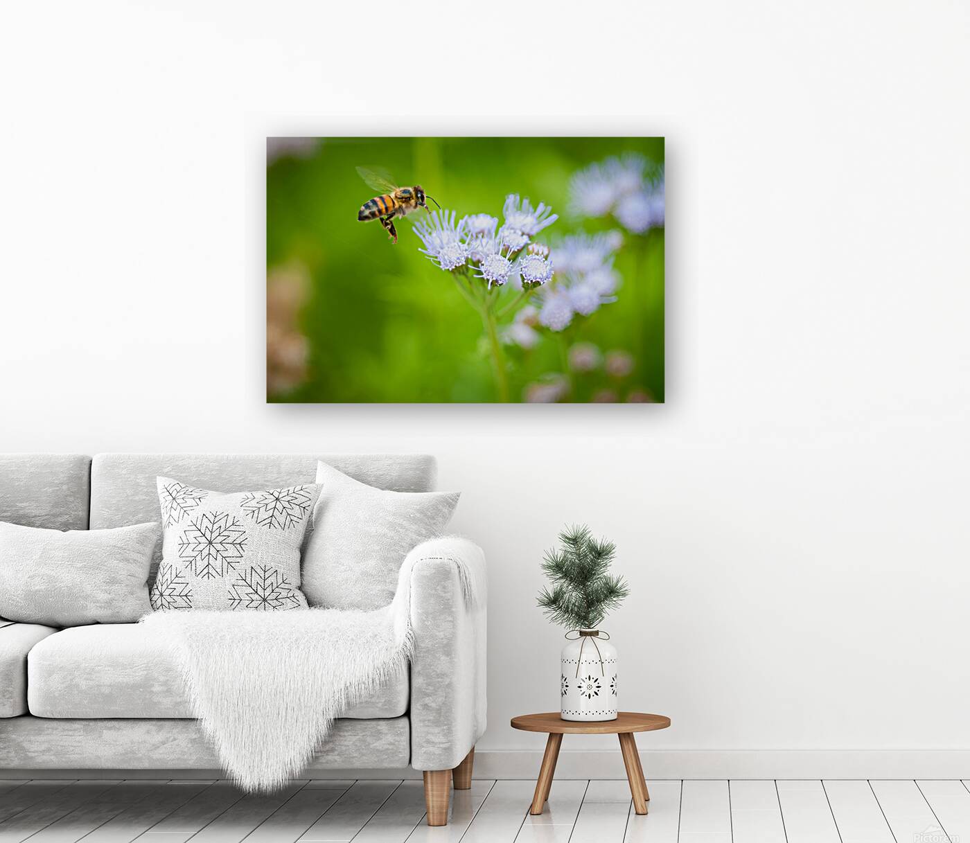 Morning Nectar  Reproduction
