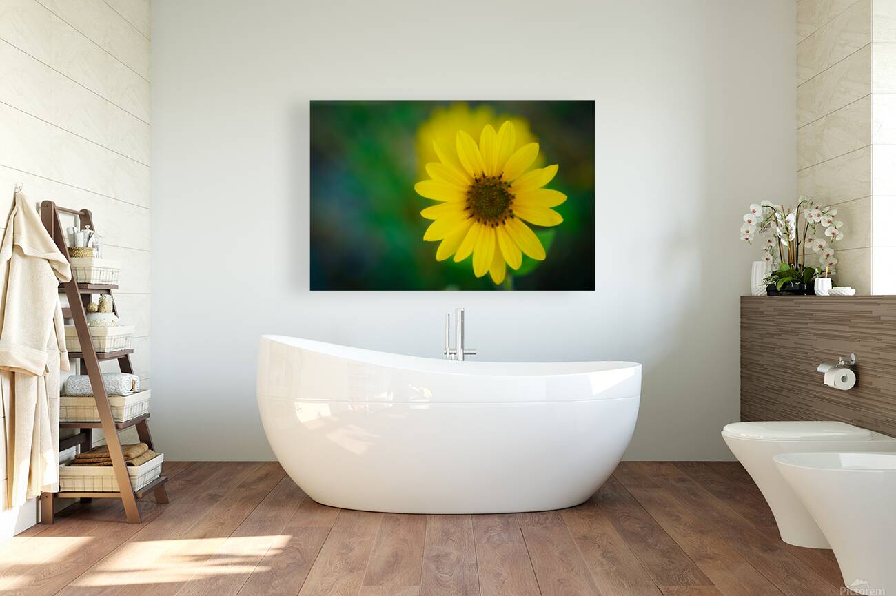 Sunflower Reproduction