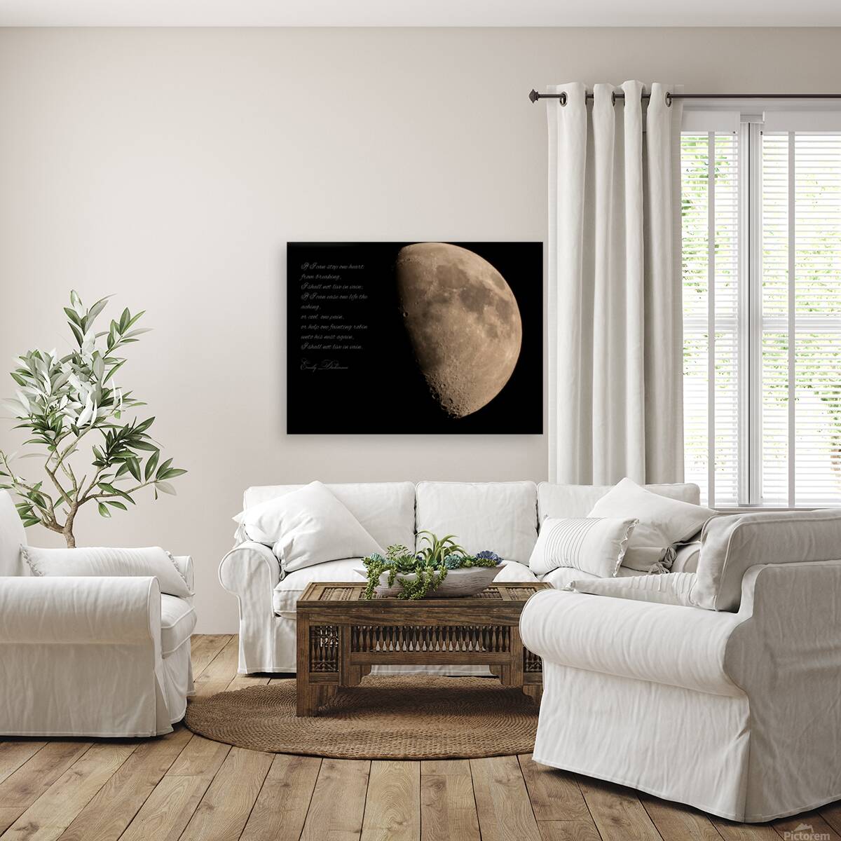 Moon Reproduction
