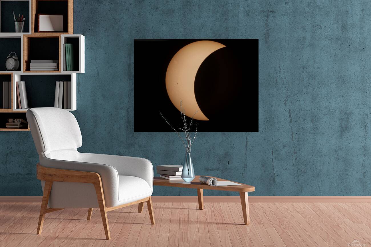 2017 Eclipse Reproduction