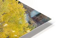 Grand Tetons 3 HD Metal print
