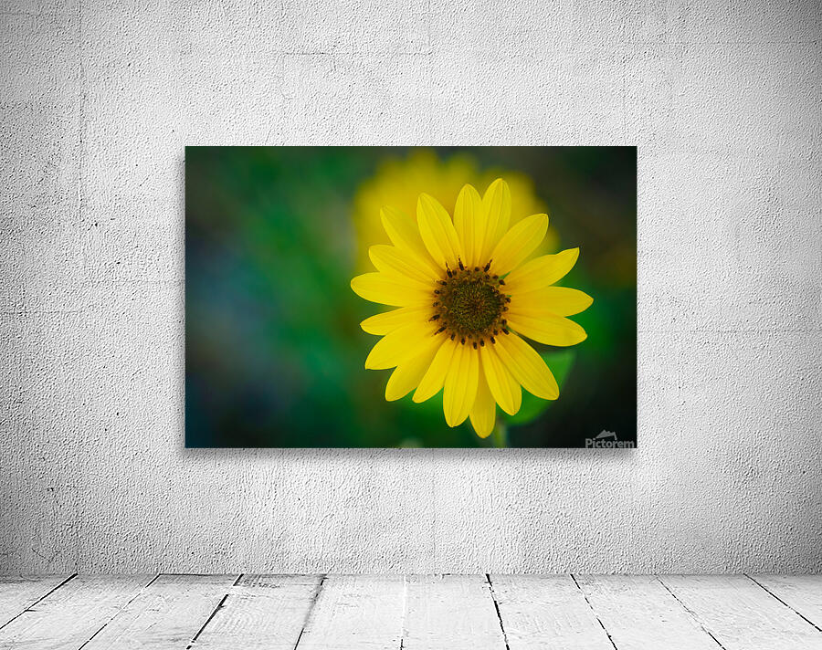 Sunflower Wall Preview