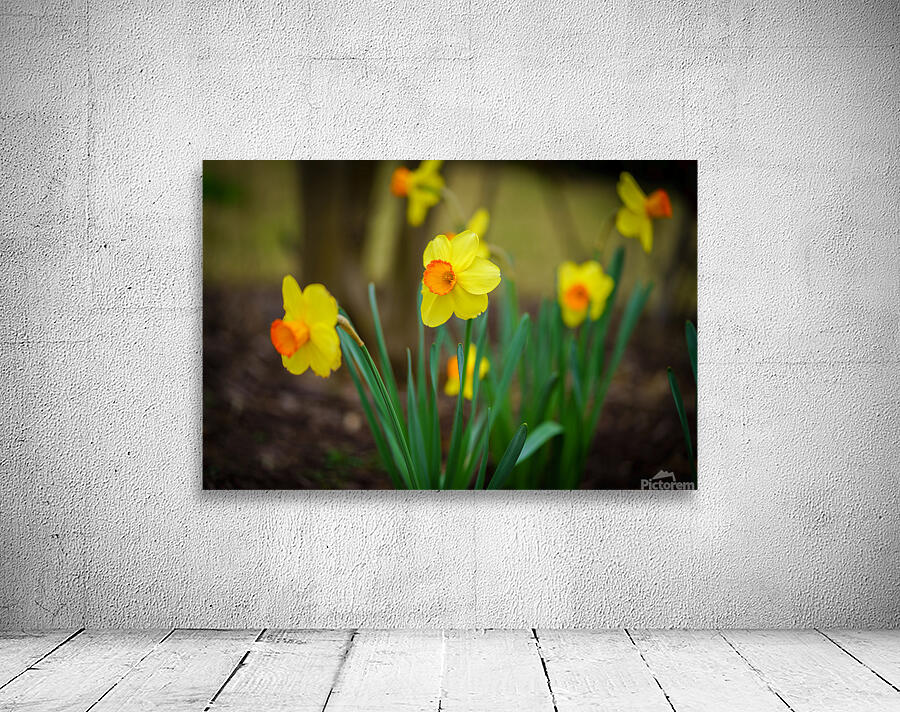 Flowers Wall Preview