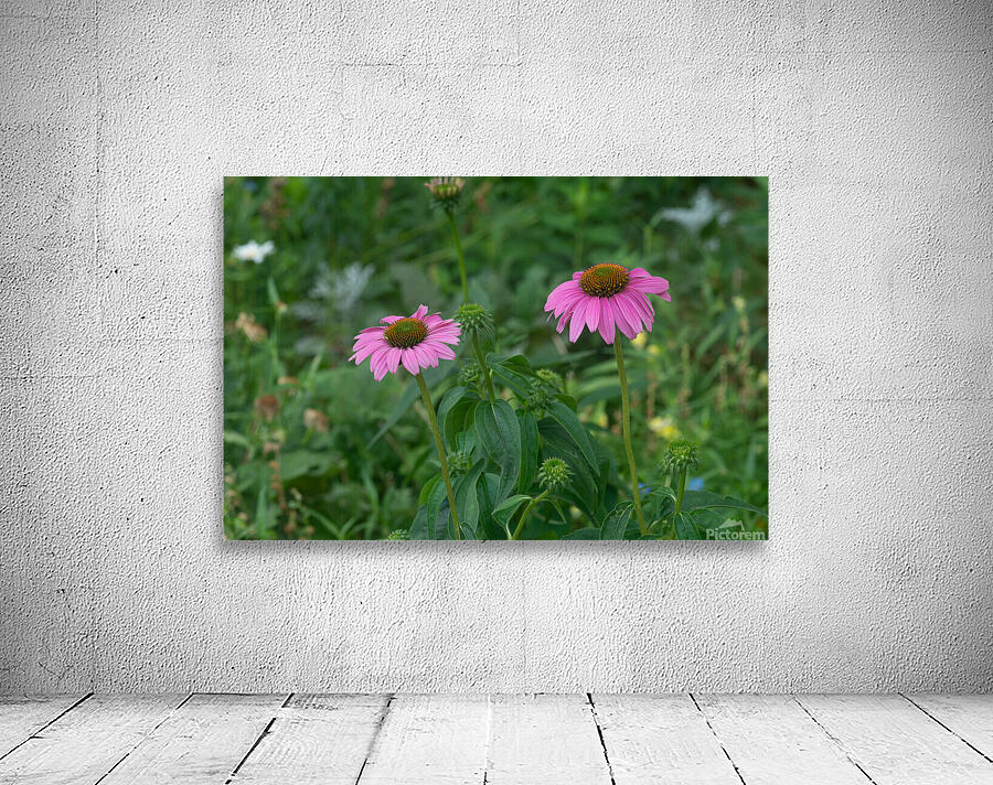 Flowers Wall Preview
