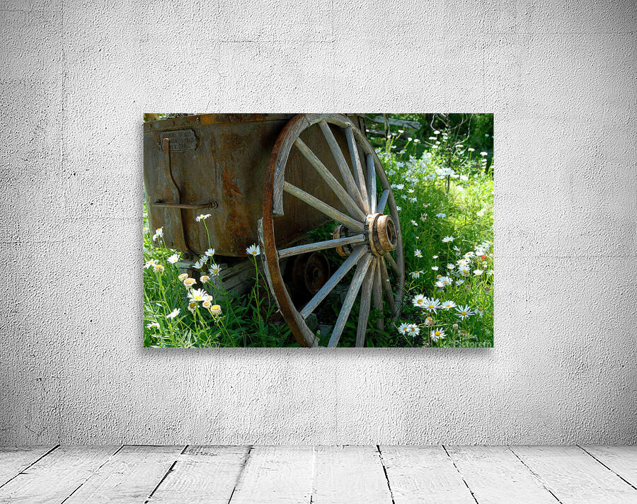 Wagon Wheel Wall Preview