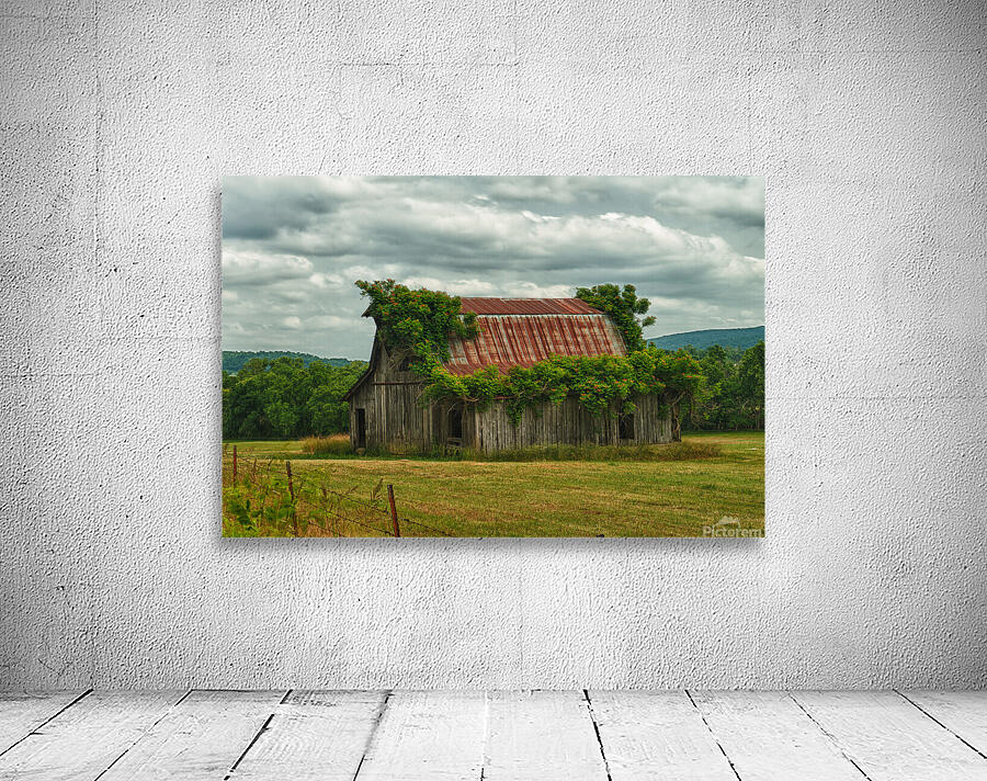 barn painted Wall Preview
