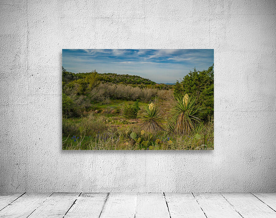 Central Texas Wall Preview