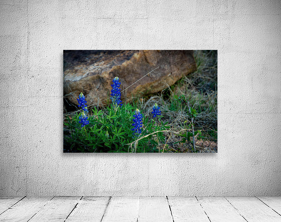 Image 8 Wall Preview