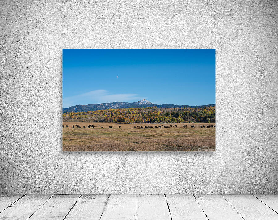 Grand Tetons 7 Wall Preview
