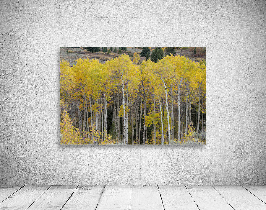 Grand Tetons 3 Wall Preview