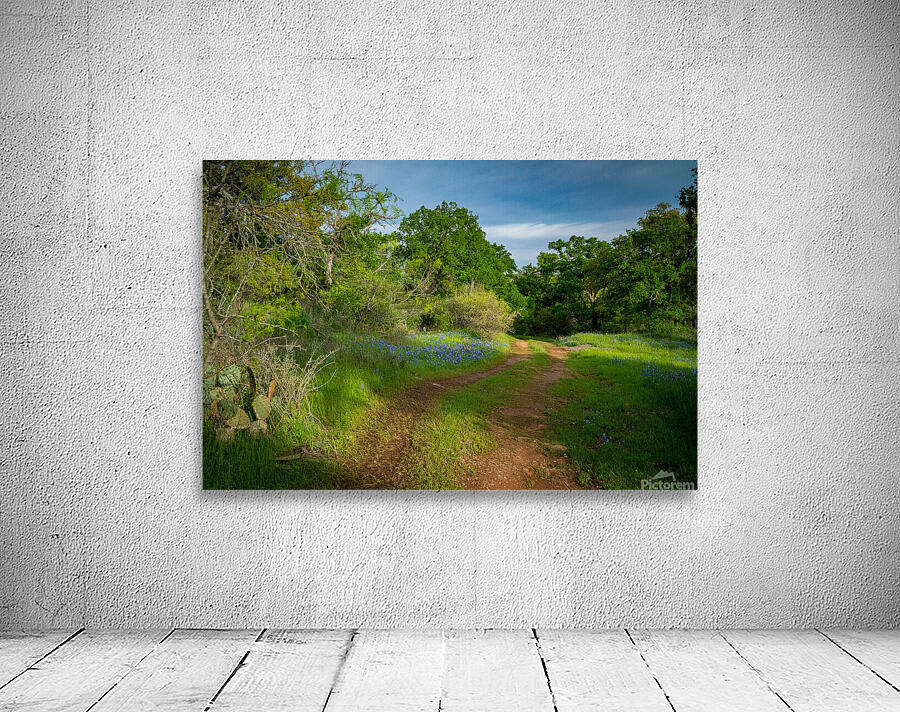 Blue Bonnets 2 Wall Preview