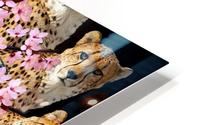 BAD KITTY - HD Metal print