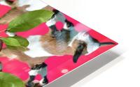 APPLE PICKIN - HD Metal print