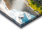 Wild Flowers and Factory Butt Acrylic print