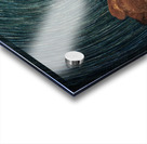 Super Star Acrylic print