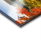 Color All Around Acrylic print