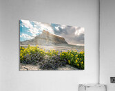 Wild Flowers and Factory Butt Acrylic Print