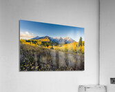 Morning Timp Acrylic Print