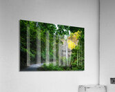 Path to Cascades Acrylic Print