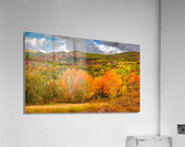 Some Things Always Change Acrylic Print