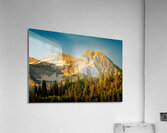 Backside of Timp Acrylic Print