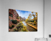 Fall in Zion National Park Acrylic Print