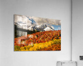 Layers of Seasons Acrylic Print