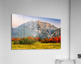 The Start of Fall Acrylic Print