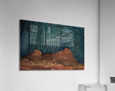 Super Star Acrylic Print