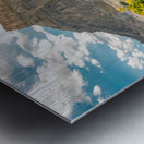 Wild Flowers and Factory Butt Metal print