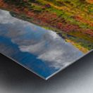 Some Things Always Change Metal print