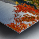 Color All Around Metal print