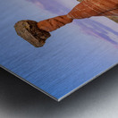 Hoodoo at Sunset Metal print