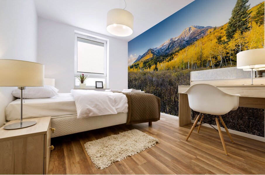Morning Timp Mural print