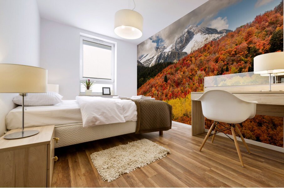 Layers of Seasons Mural print