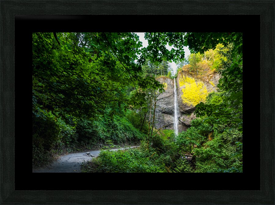 Path to Cascades Picture Frame print