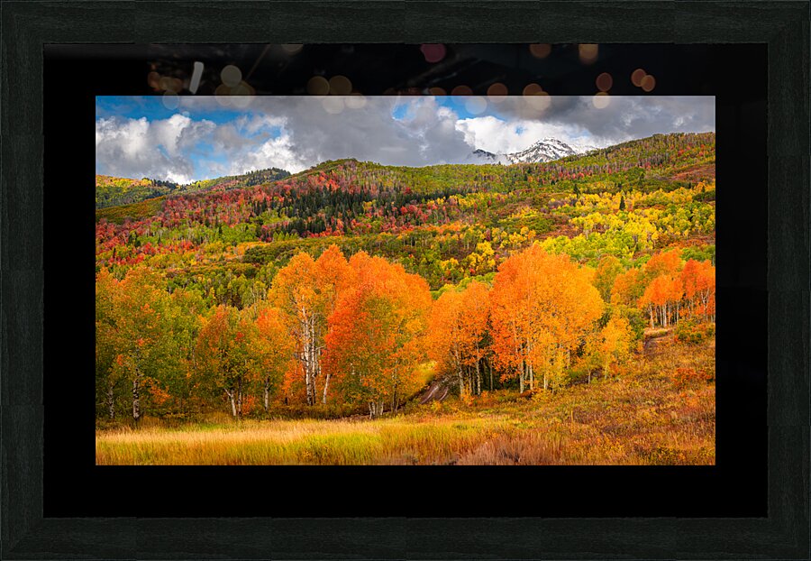 Some Things Always Change Picture Frame print