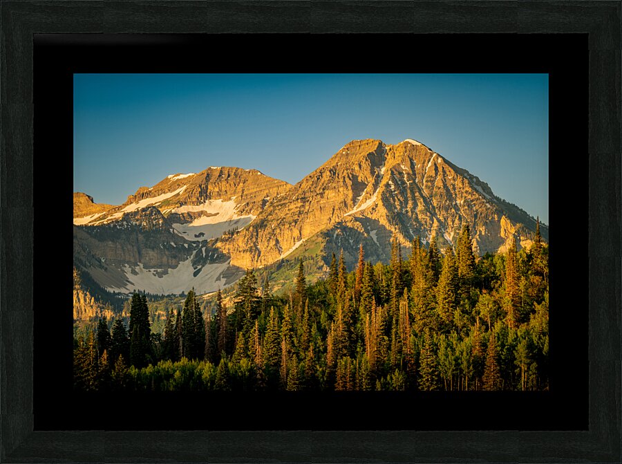 Backside of Timp Picture Frame print