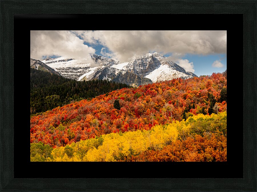 Layers of Seasons Picture Frame print