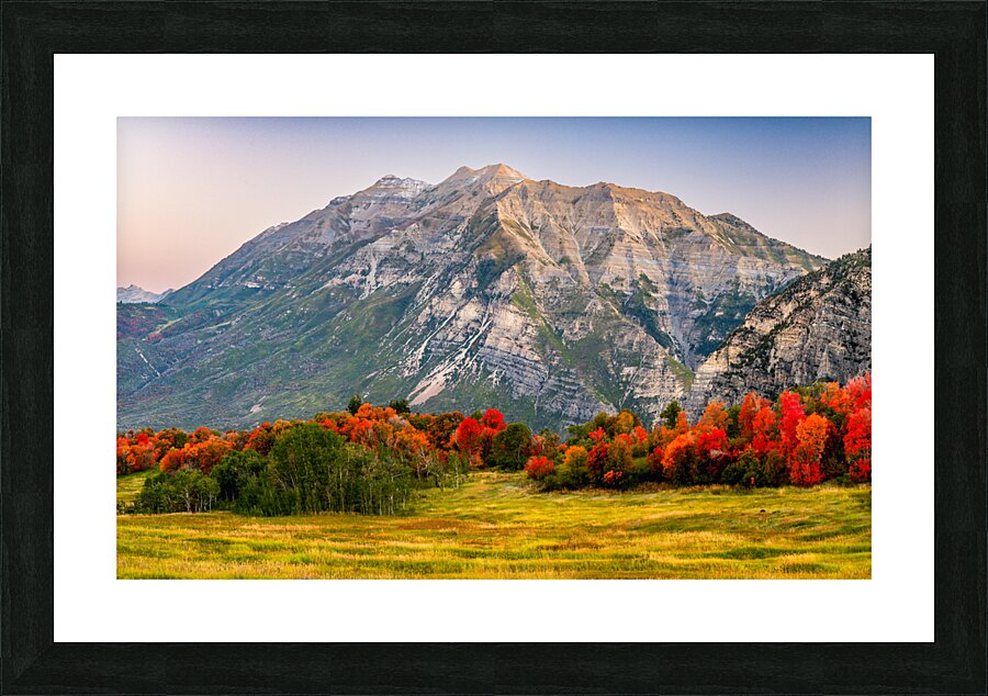 The Start of Fall Picture Frame print