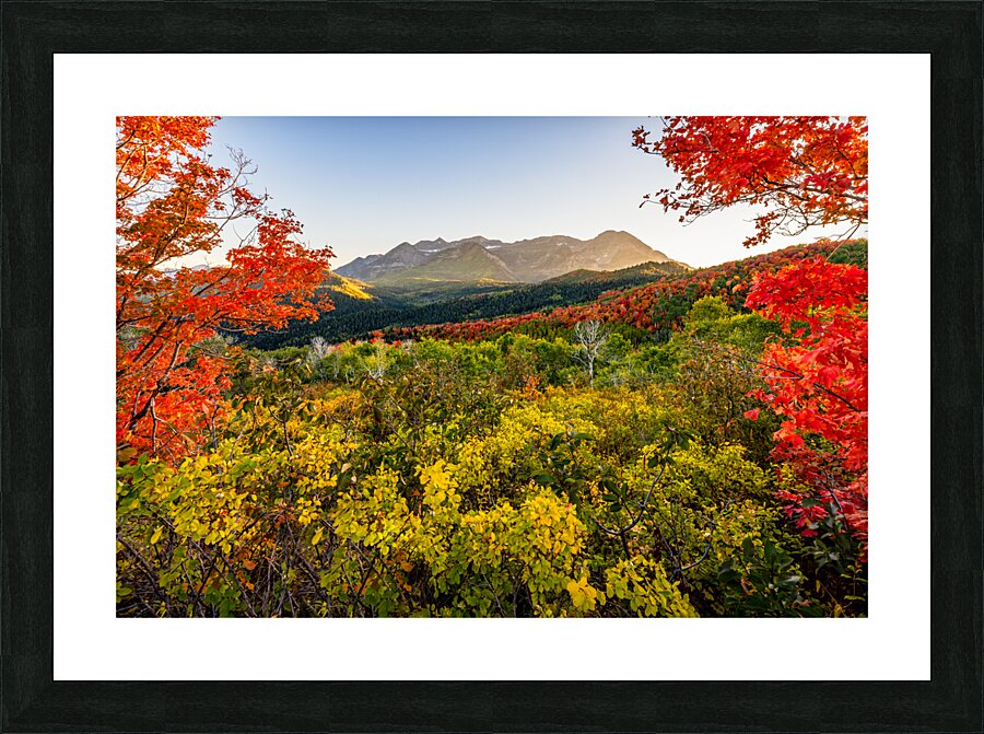 Color All Around Picture Frame print