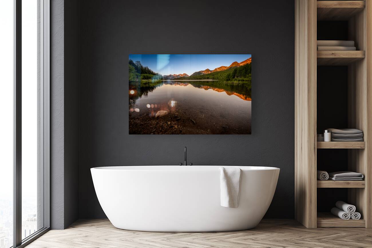 Reflective Morning Reproduction