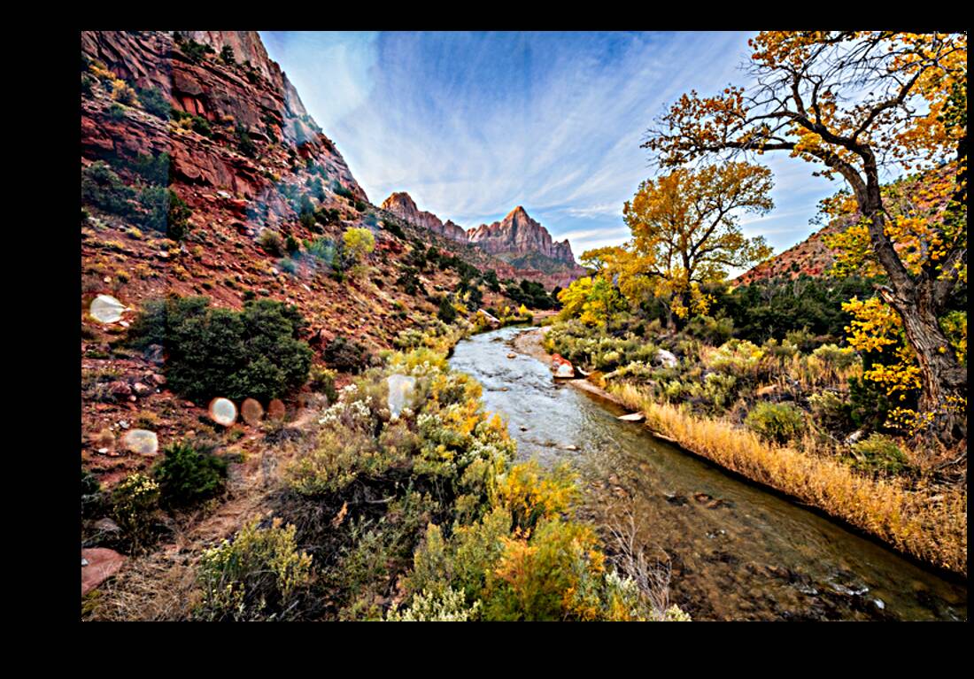 Fall in Zion National Park Reproduction