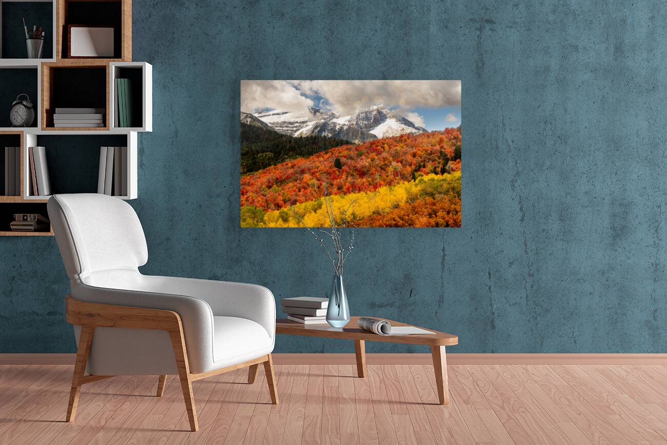 Layers of Seasons Reproduction