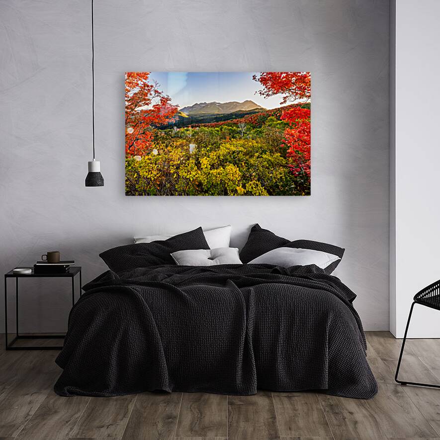 Color All Around Reproduction