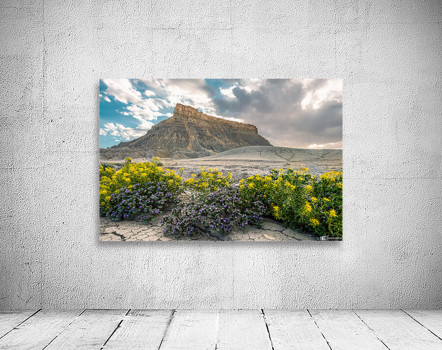 Wild Flowers and Factory Butt Wall Preview