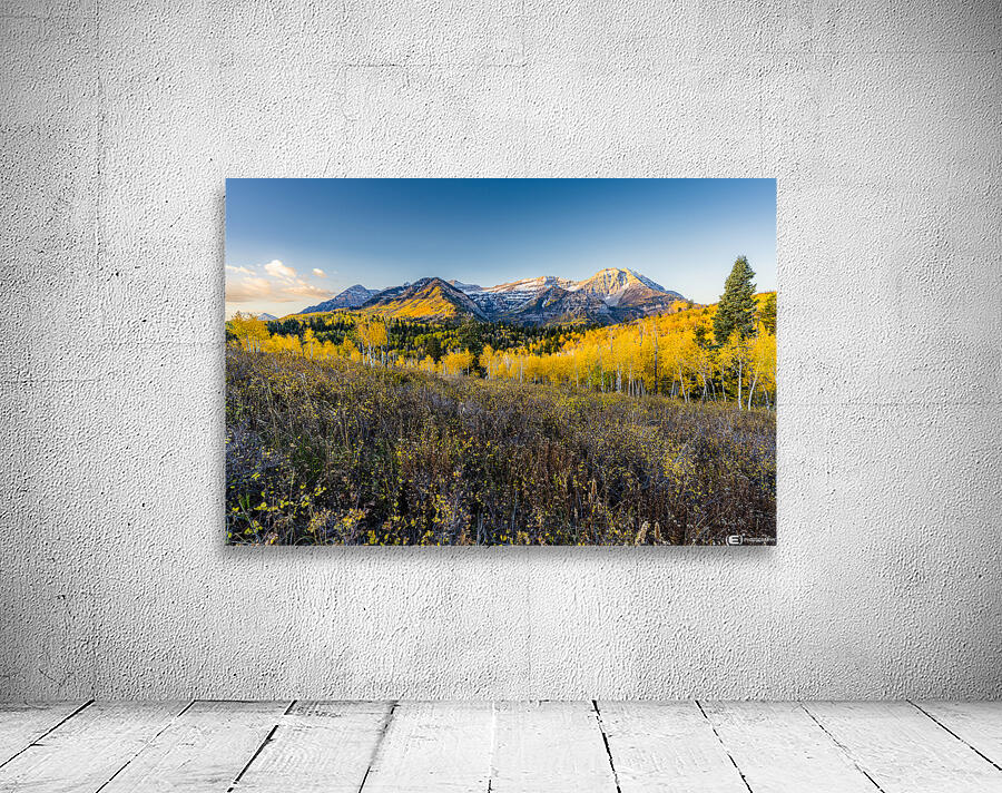 Morning Timp Wall Preview